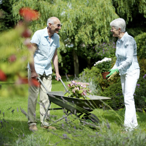 activities for seniors with cognitive issues