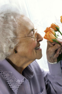 assisted living is the best option for your loved one